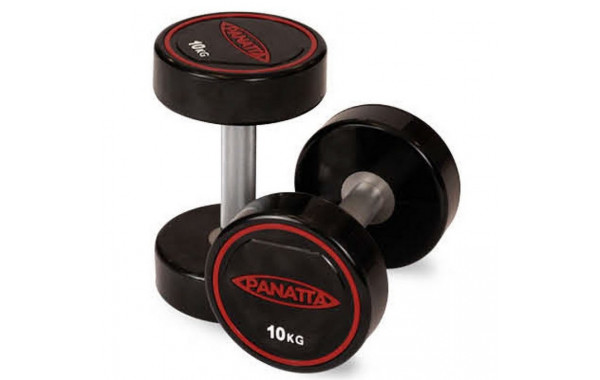 Уретановая гантель 22,5 кг Panatta 1RD225 600_380