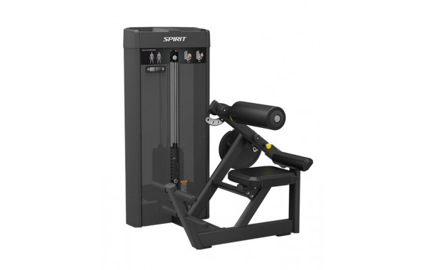 Разгибание спины Spirit Fitness SP-4310 600_380