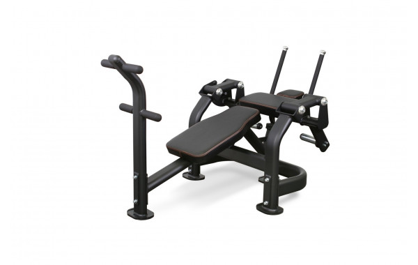 Пресс-скамья Bronze Gym PL-1720 600_380