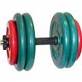 Гантель разборная 52 кг MB Barbell Диски обрезиненные, цветные 120_120