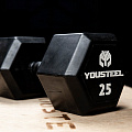 Гантель обрезиненная YouSteel HEX DB 22,5 кг 120_120